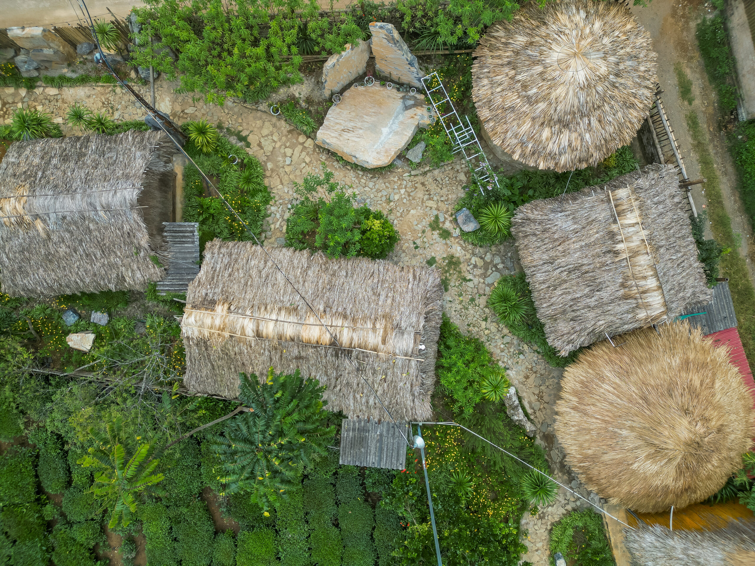 Sakura House Vườn Đào
